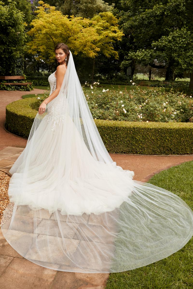 ST2223VEIL