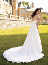 Load image into Gallery viewer, 111219-Stevie