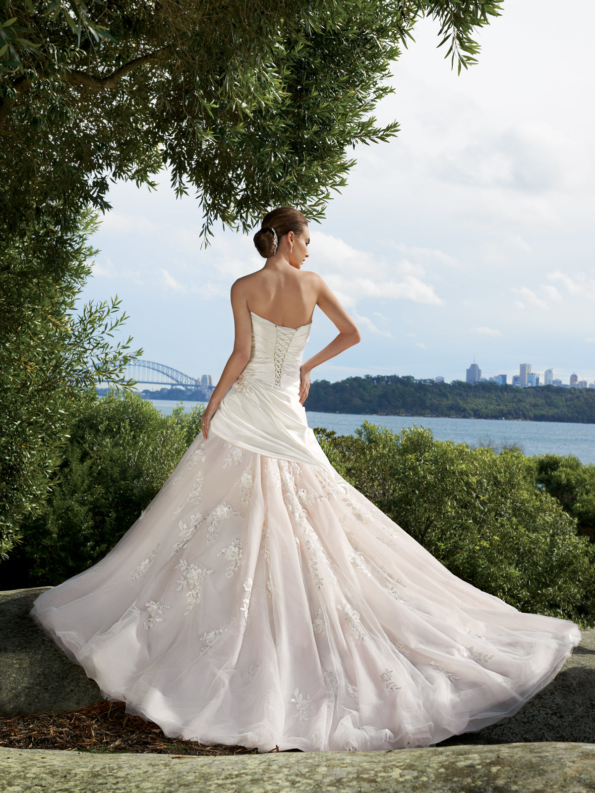 Y11300-Primrose