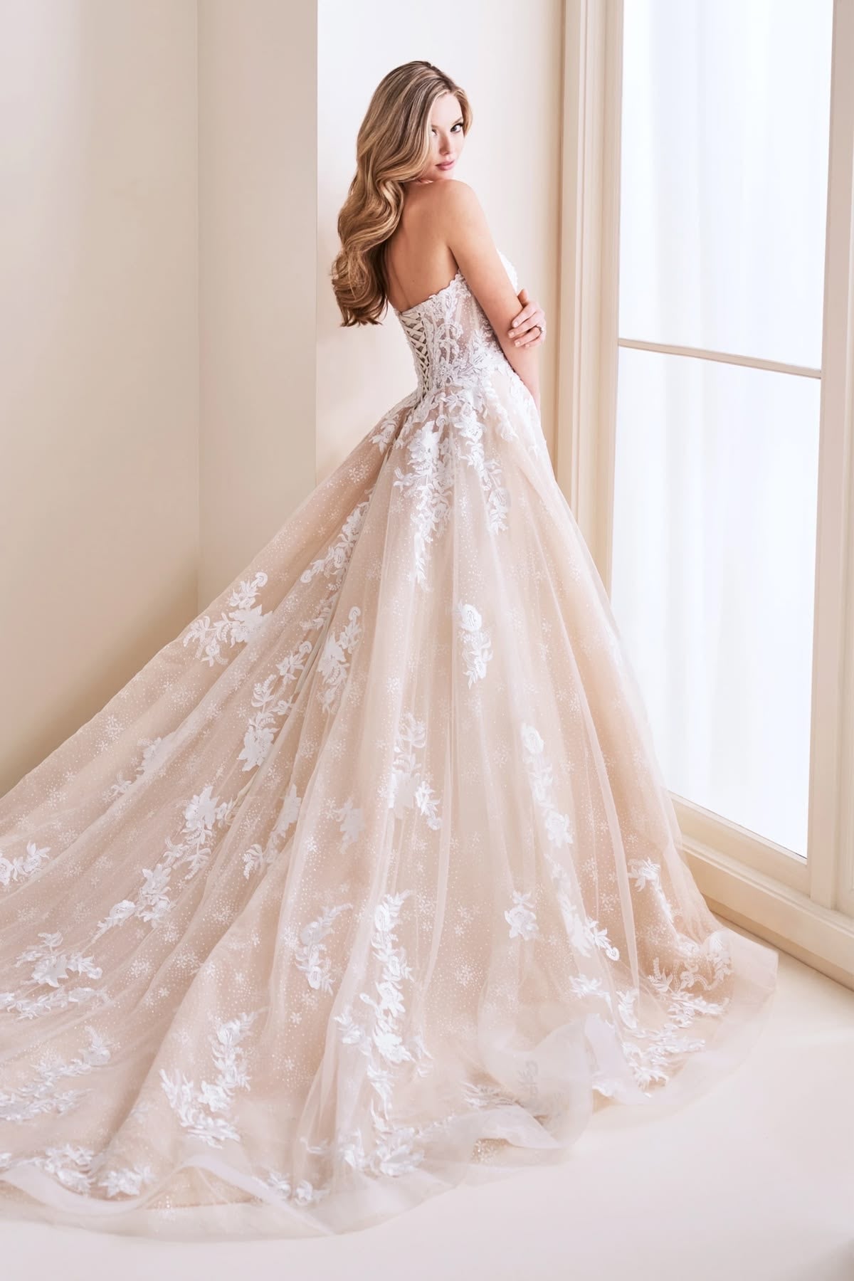 Rose - 120246