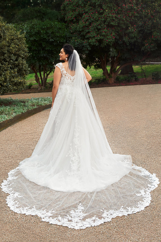 Y3107VEIL